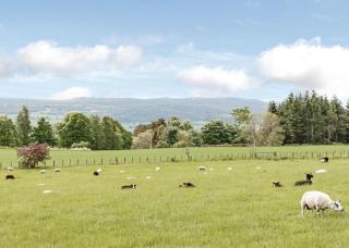 Kessock Highland Lodges - North Kessock - 4