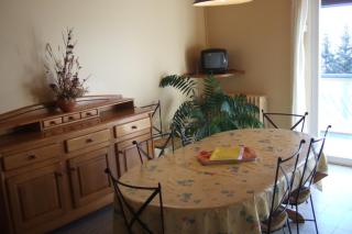 Grand appartement à Font Romeu vue panoramique montagne Torremagne 3 - 9