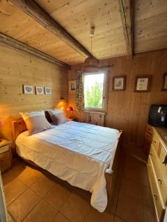 Appartement cosy, esprit chalet avec jolie vue - 9