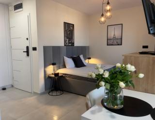 URBAN APARTMENTS PREMIUM Baildona 18B, Free Garage, Self Check-in - Katowice - 4