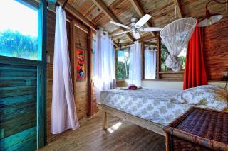 Cabarete Boutique Kite Hotel for up to 15 people - Cabarete - 8