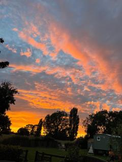 Muffins Meadow Shepherds Hut - Tillingham - 5