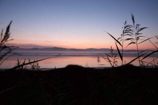 Shorepark - waterfront cottage with stunning views - Dumfries - 9
