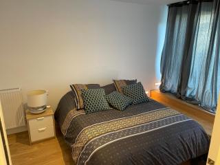 Suite parentale avec salle de bains et toilettes privées - Genas - 9