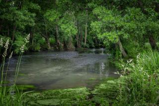 Afbeelding van de locatie