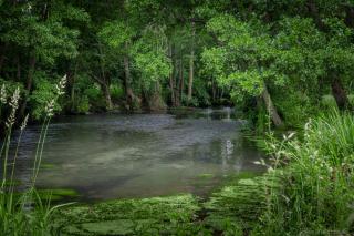 Gîte de l'Ecrin de l'Andelle - Forêt de Lyons - - 3