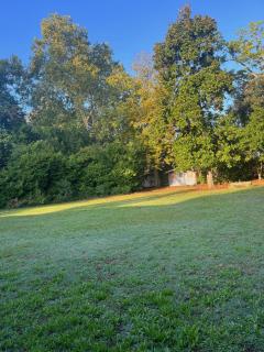 Le P’tit Bois Doré - 1