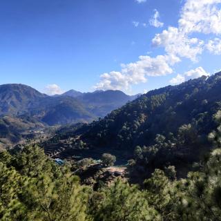 Chillaru Spa & Resort - Kasauli - 2