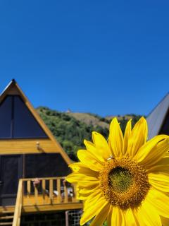 Pine Chalet Kazbegi - 4