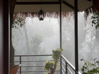Coffee Cradle Wayanad Luxuorios Private Tree House - Inside 2 Acre Coffee Plantation - Mananthavady - 9