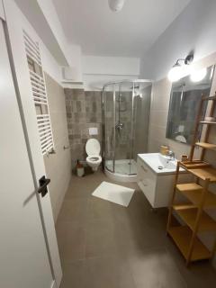 Q Select Apartment - Palas center - Iaşi - 8