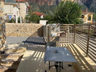 Indigo Leonidion - 3