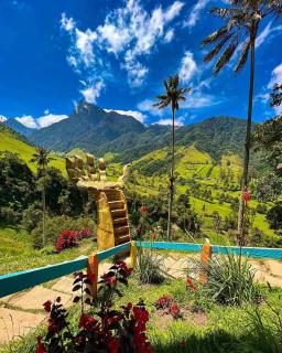 CABAÑAS Finca Hotel Villa Natalia -Salento Quindio - Salento - 7