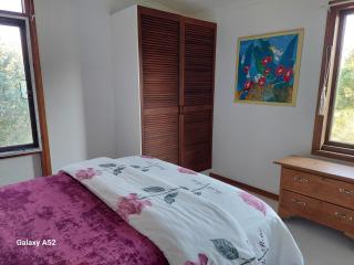 Corner Cottage Rear Studio - Attached - Geneva in Kyogle - 9