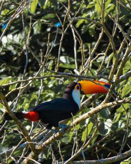 Pousada Recanto do Amanhecer - Socorro - 2