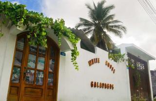 Hostal White House Galapagos - Puerto Ayora - 6