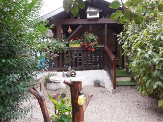 Gîte chaleureux avec terrasse, proche des activités touristiques et nature des Vosges - FR-1-589-177 - 4
