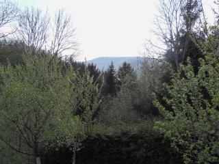 Gîte chaleureux avec terrasse, proche des activités touristiques et nature des Vosges - FR-1-589-177 - 2
