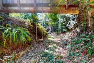 The Canopy House - Clinton - 2