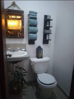 Entire House and Terrace Pool - La Ceiba - 5
