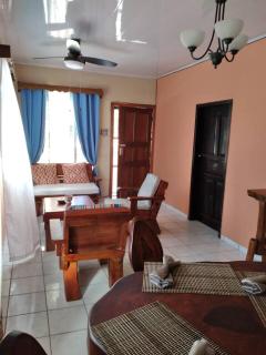 Entire House and Terrace Pool - La Ceiba - 1