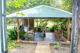 Natural Harmony Cabin - Puerto Jiménez - 3