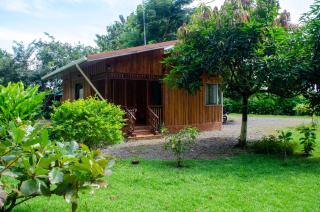 Natural Harmony Cabin - Puerto Jiménez - 8