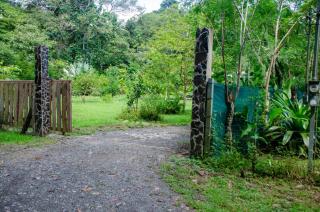 Natural Harmony Cabin - Puerto Jiménez - 9