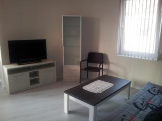 Apartment Zlatina - 4