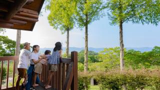 Matsue Forest Park - Matsue - 8