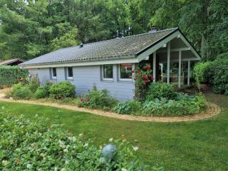 Ferienhaus Paulsen - gemütliches Häuschen mit vollständig eingezäuntem Garten und Kamin - Silberstedt - 0