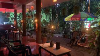 Jungleview Home Stay - 5