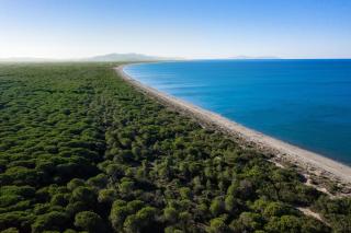 Gitavillage Le Marze - Marina di Grosseto - 1