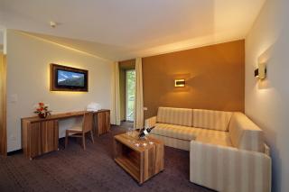 Hotel Madatsch - 9