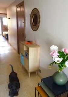 Appartement Mimosa Croisette - Cannes - 1