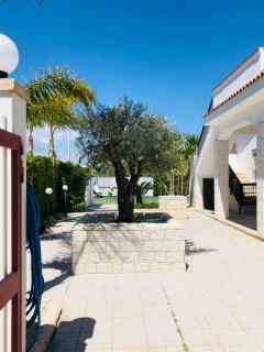 VILLA DAMA BIANCA - Santa Maria del Focallo - 5