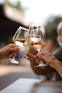 Mooi Twente Lodges - privé Spa en sauna - 2