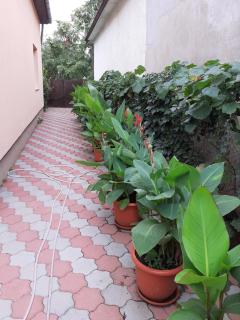 La Casa Mircea Rudicica, apartament cu doua camere - 5