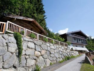 Penthouse Tauernfenster, Neukirchen - Sulzau - 8