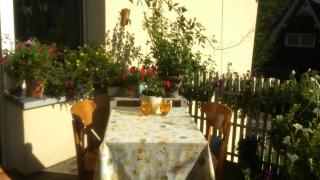 Haus Silbertal - Much - 4