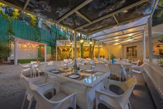 Jungle Lodge Resort - Kasauli - 5