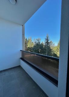 Apartment Trebevic Nature - Sarajevo - 3
