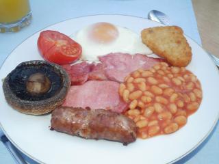 Padog B&B - Llanrwst - 5