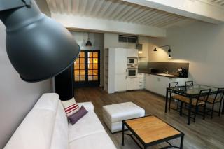 55 m2 Apart with big terrace in Annecy downtown - Annecy - 2
