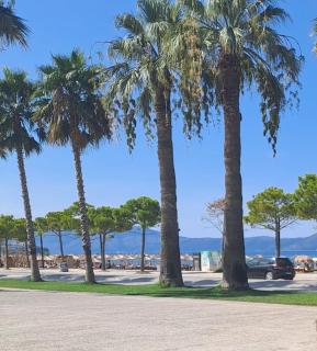 Sea view Apartment Lungomare - Vlora - 5