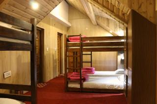 Utopia Hostels Dharamkot Mcleodganj - Dharamshala - 5