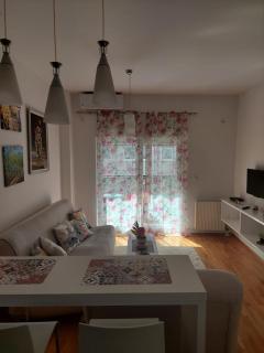 Alexandra apartment - 1