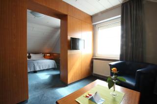 Hotel Elysee - Seligenstadt - 9