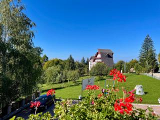 Vila Diana - Poiana Brasov - Poiana Brasov - 4