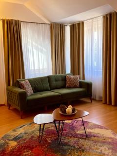 Vila Diana - Poiana Brasov - Poiana Brasov - 6
